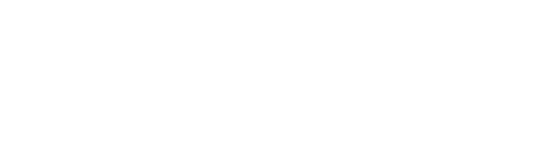 Schriftzug